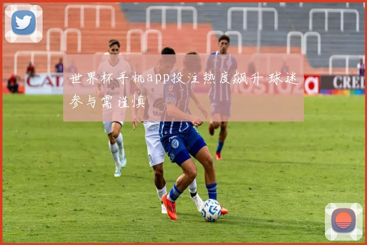 世界杯手机app投注热度飙升 球迷参与需谨慎